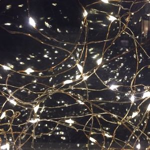 Meet your Posher, Abbey